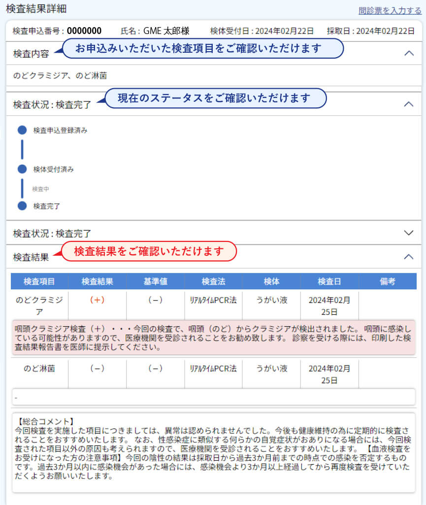 パソコンで見た時の検査結果画面